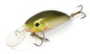 Fantom F3 Calypso