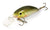 Fantom F3 Calypso